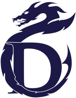 dragon logo spirit